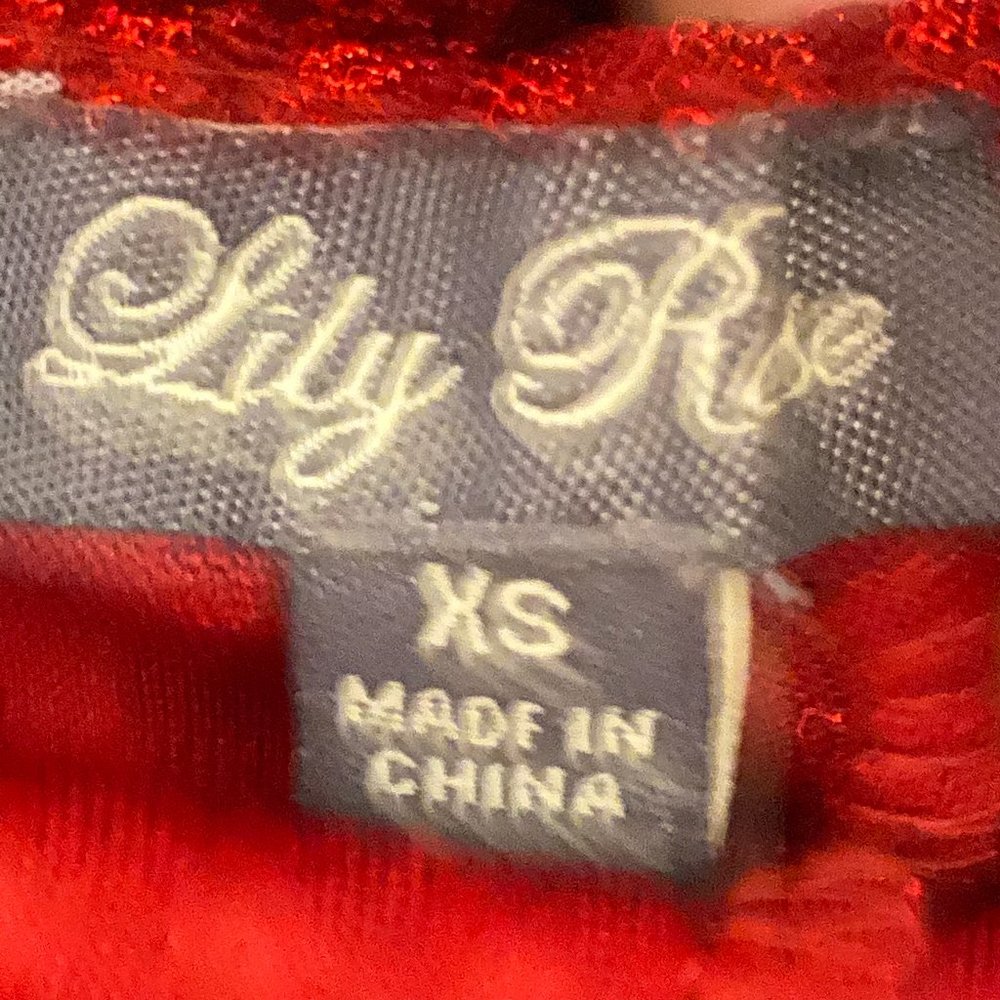 Lily Rose Party Dress - Picture 5 of 7